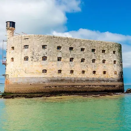 Appartement A 100m Des Minimes Avec Internet